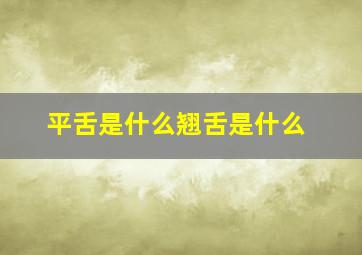 平舌是什么翘舌是什么