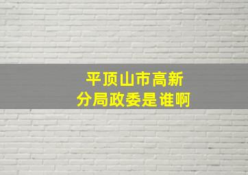 平顶山市高新分局政委是谁啊