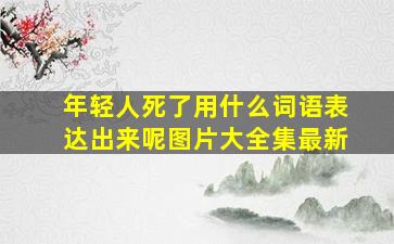 年轻人死了用什么词语表达出来呢图片大全集最新