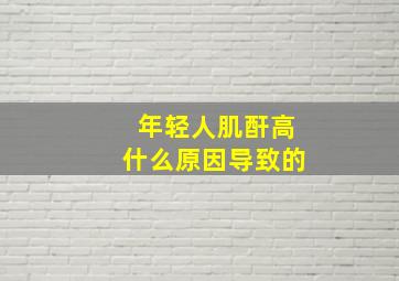 年轻人肌酐高什么原因导致的