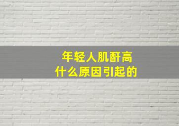 年轻人肌酐高什么原因引起的