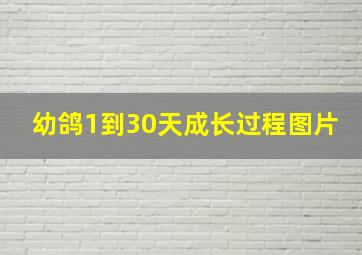 幼鸽1到30天成长过程图片