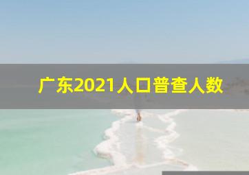 广东2021人口普查人数