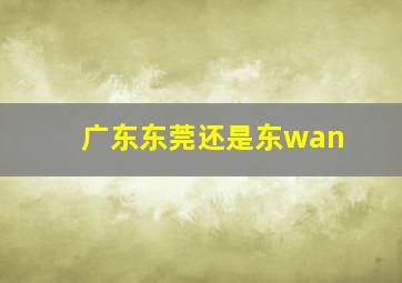 广东东莞还是东wan