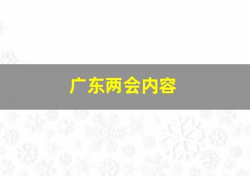 广东两会内容