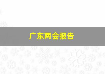 广东两会报告