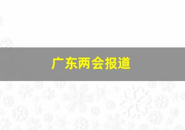 广东两会报道