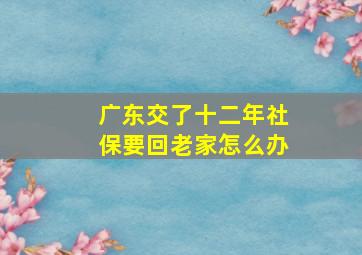 广东交了十二年社保要回老家怎么办