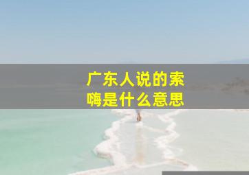 广东人说的索嗨是什么意思