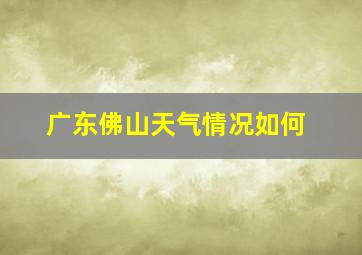 广东佛山天气情况如何