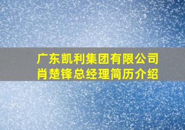 广东凯利集团有限公司肖楚锋总经理简历介绍