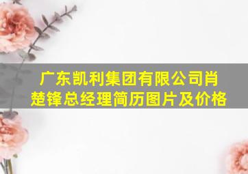 广东凯利集团有限公司肖楚锋总经理简历图片及价格