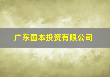 广东国本投资有限公司