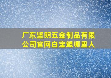 广东坚朗五金制品有限公司官网白宝鲲哪里人