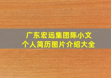 广东宏远集团陈小文个人简历图片介绍大全