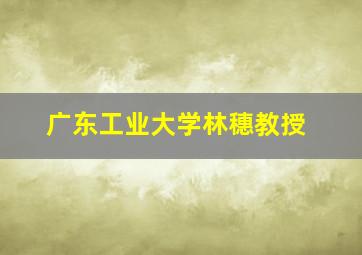 广东工业大学林穗教授