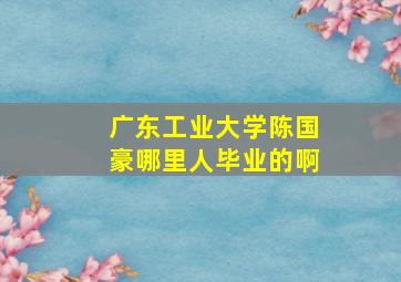 广东工业大学陈国豪哪里人毕业的啊