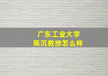 广东工业大学陈沉教授怎么样