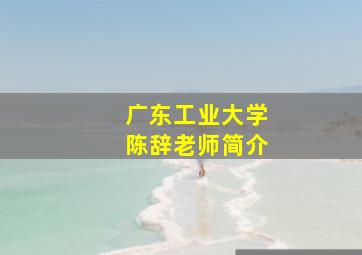 广东工业大学陈辞老师简介