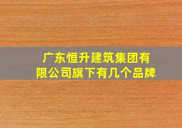 广东恒升建筑集团有限公司旗下有几个品牌