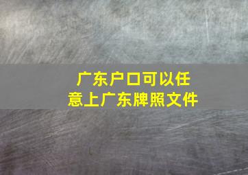 广东户口可以任意上广东牌照文件