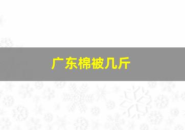 广东棉被几斤