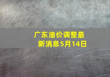 广东油价调整最新消息5月14日