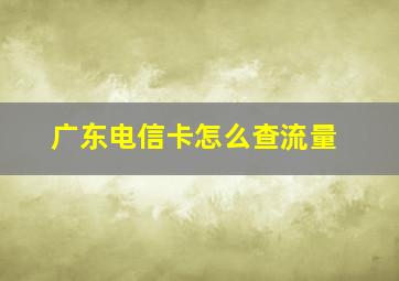 广东电信卡怎么查流量