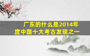 广东的什么是2014年度中国十大考古发现之一