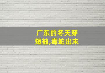 广东的冬天穿短袖,毒蛇出末