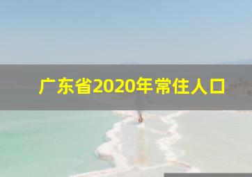 广东省2020年常住人口