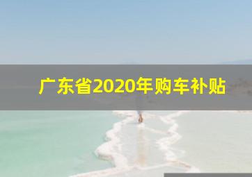 广东省2020年购车补贴