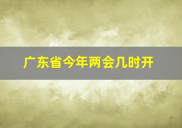 广东省今年两会几时开