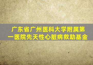 广东省广州医科大学附属第一医院先天性心脏病救助基金