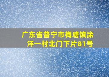 广东省普宁市梅塘镇涂洋一村北门下片81号