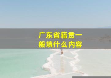 广东省籍贯一般填什么内容