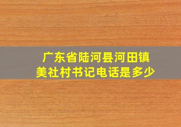 广东省陆河县河田镇美社村书记电话是多少