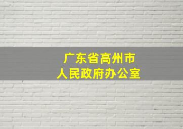 广东省高州市人民政府办公室