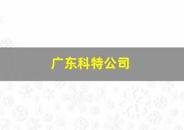 广东科特公司