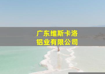 广东维斯卡洛铝业有限公司