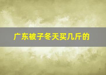 广东被子冬天买几斤的