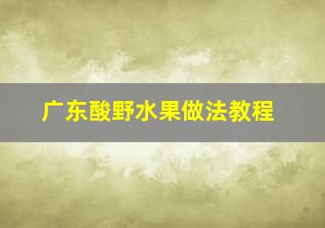 广东酸野水果做法教程