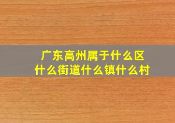 广东高州属于什么区什么街道什么镇什么村