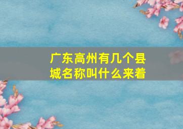 广东高州有几个县城名称叫什么来着