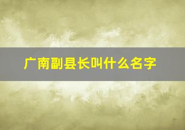 广南副县长叫什么名字