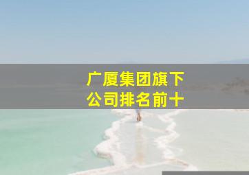 广厦集团旗下公司排名前十