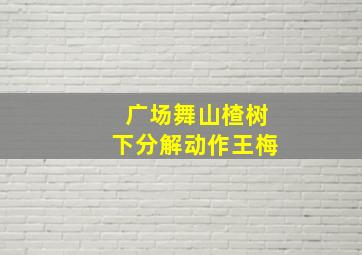 广场舞山楂树下分解动作王梅