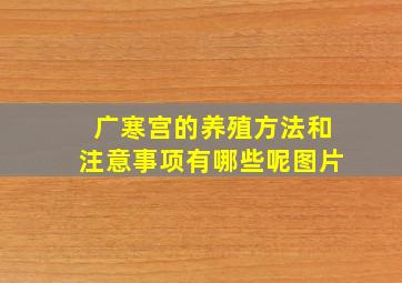 广寒宫的养殖方法和注意事项有哪些呢图片