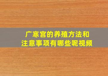 广寒宫的养殖方法和注意事项有哪些呢视频