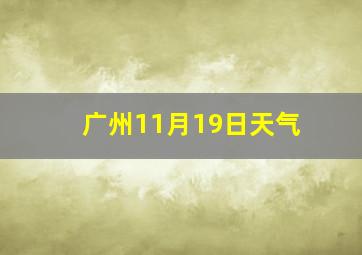 广州11月19日天气